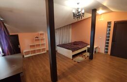 Casa individuala 9 camere, suprafata utila 660mp, teren 435mp, Central