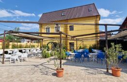 Imobil de vanzare, afacere la cheie, supr. utila 1500mp, teren 1500mp