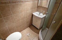 Imobil de vanzare, afacere la cheie, supr. utila 1500mp, teren 1500mp