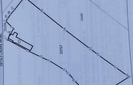 Casa individuala cu crama, teren 6700mp, Plopu