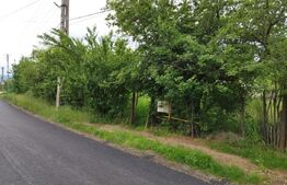 Casa individuala cu crama, teren 6700mp, Plopu