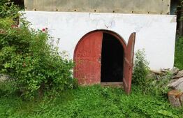 Casa individuala cu crama, teren 6700mp, Plopu