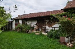 Casa individuala cu crama, teren 6700mp, Plopu