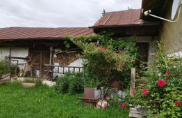 Casa individuala cu crama, teren 6700mp, Plopu