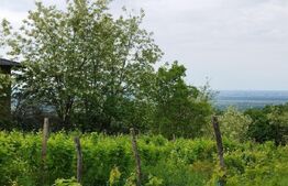 Casa individuala cu crama, teren 6700mp, Plopu