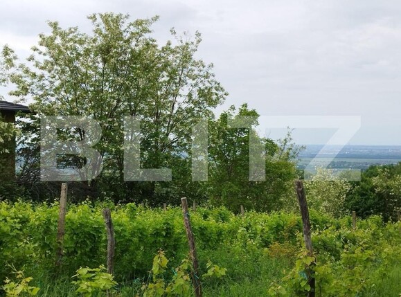 Casa de vânzare 7 camere Exterior Nord - 147516CV | BLITZ Ploieşti | Poza6