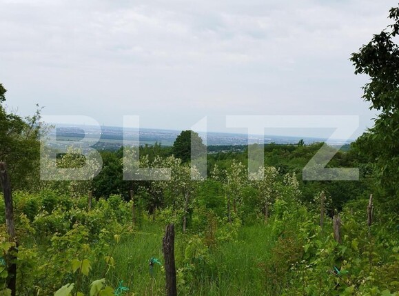 Casa de vânzare 7 camere Exterior Nord - 147516CV | BLITZ Ploieşti | Poza5