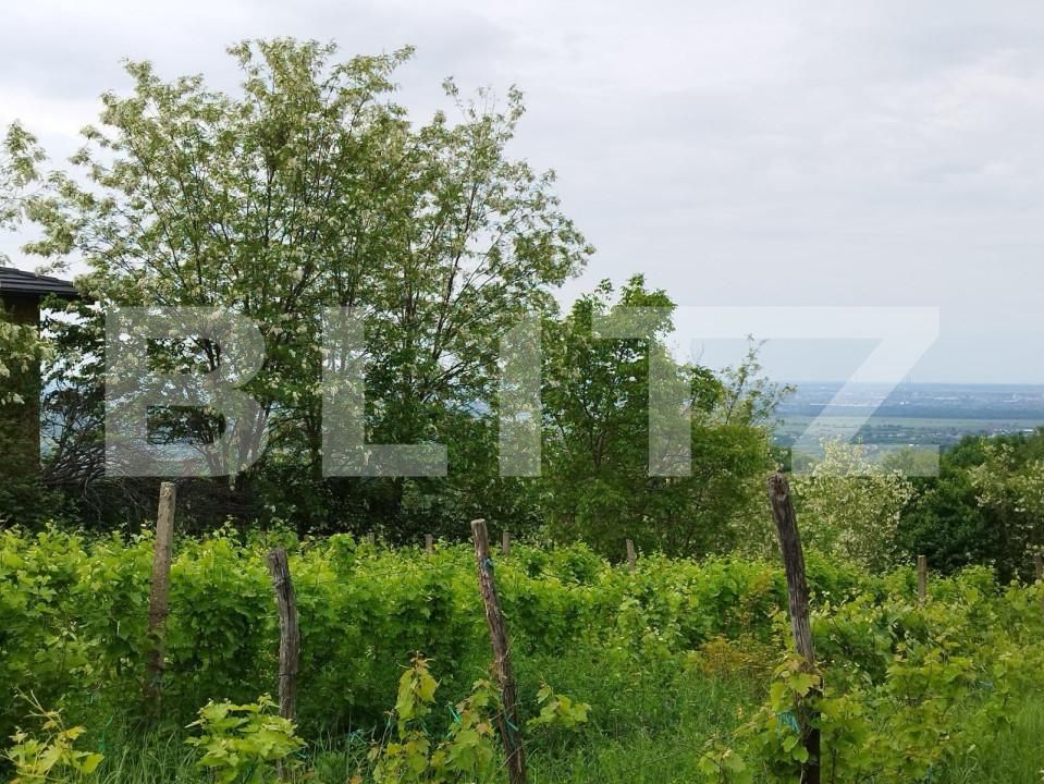 Casa de vânzare 7 camere Exterior Nord - 147516CV | BLITZ Ploieşti | Poza6