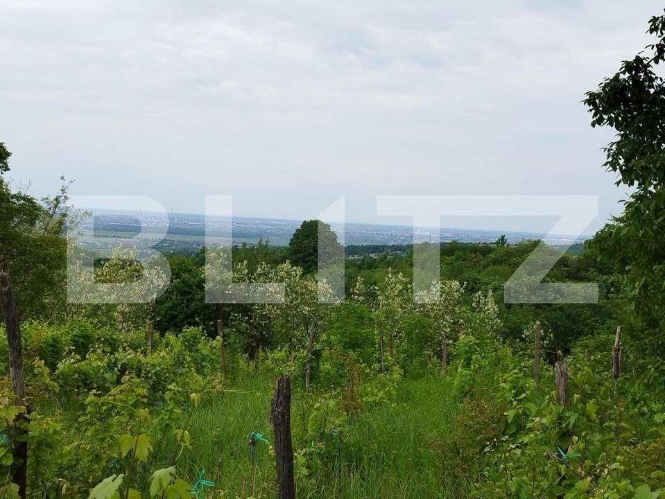 Casa de vânzare 7 camere Exterior Nord - 147516CV | BLITZ Ploieşti | Poza5