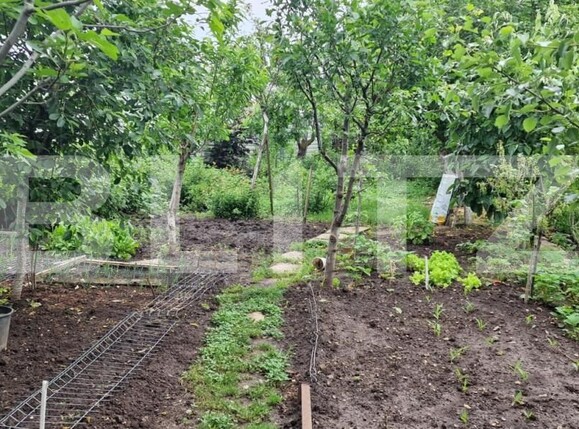 Casa de vânzare 5 camere Exterior Nord - 147517CV | BLITZ Ploieşti | Poza9