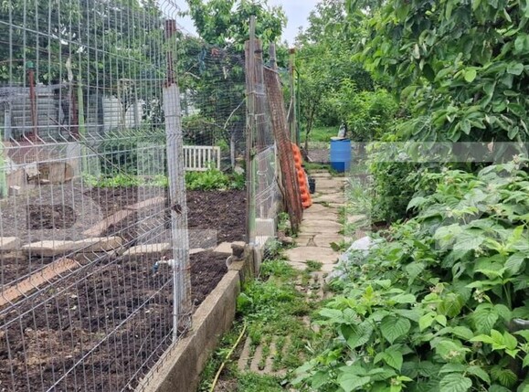 Casa de vânzare 5 camere Exterior Nord - 147517CV | BLITZ Ploieşti | Poza10