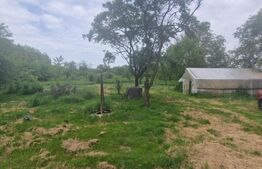 Casa demolabila formata din 2 corpuri, 124 mp utili, teren 4230 mp, Baicoi