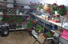 Casa individuala 3 camere, suprafata 80mp, teren indiviziune 150mp, Ilie Oana