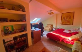 Casa individuala 7 camere, 290mp, teren 1100mp, zona centrala