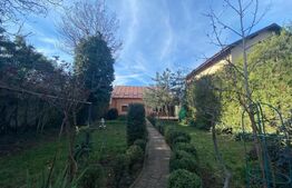 Casa individuala 7 camere, 290mp, teren 1100mp, zona centrala