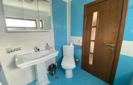 Casa individuala 7 camere, 240 mp, zona Centrala