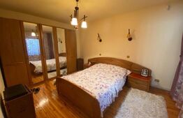 Casa individuala 7 camere, 240 mp, zona Centrala