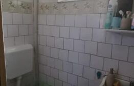 Duplex, 4 camere, suprafata 243 mp , teren 238, zona Rosiori