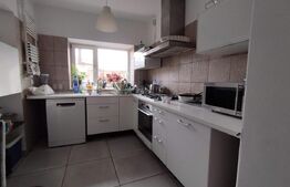 Casa individuala 5 camere, 290mp, anexa locuibila, teren 318mp, Malu Rosu 