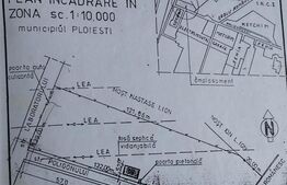 Teren, 5000 mp, Albert