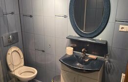 Casa individuala P+M, 4 camere, 160 mp utili, teren 185 mp, Dorobantul