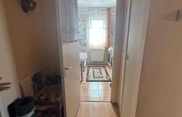 Apartament cu 3 camere, decomandat, 60mp, Vest