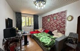 Apartament 2 camere, 50mp, Nord