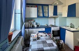 Apartament 4 camere, decomandat, 100 mp, Bd. Castanilor