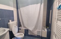 Casa individuala, 6 camere, 245 mp utili, teren 760 mp, zona Mitica Apostol