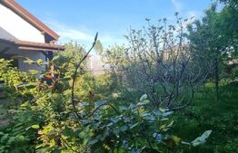 Casa individuala, 6 camere, 245 mp utili, teren 760 mp, zona Mitica Apostol