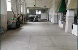 Brutarie S+P+E 600 mp, teren 1679 mp, Filipestii de Padure