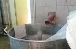 Brutarie S+P+E 600 mp, teren 1679 mp, Filipestii de Padure