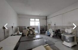 Brutarie S+P+E 600 mp, teren 1679 mp, Filipestii de Padure