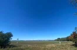 Teren extravilan, 17000mp, Aricestii Rahtivani