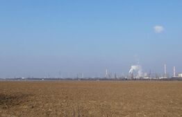 Teren 6,06 Ha, deschidere 145 ml, la DN1A. Barcanesti.