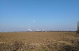 Teren 6,06 Ha, deschidere 145 ml, la DN1A. Barcanesti.
