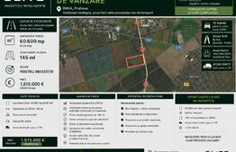 Teren 6,06 Ha, deschidere 145 ml, la DN1A. Barcanesti.