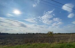 Teren extravilan, 10000mp, sat Corlatesti