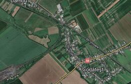 Teren extravilan, 10000mp, sat Corlatesti