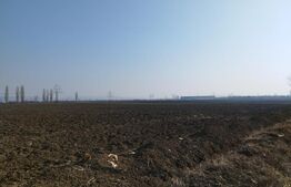 Teren 10000mp, 38ml deschidere, Berceni