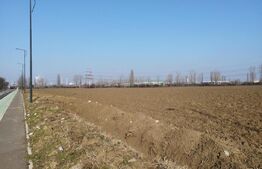 Teren 10 000mp, 38ml deschidere, Berceni.