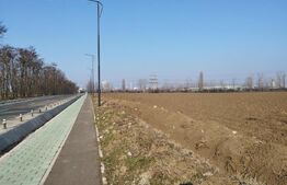 Teren 10000mp, 38ml deschidere, Berceni