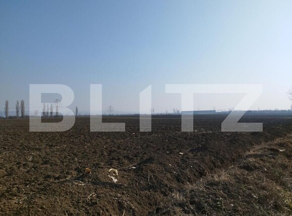 Teren de vânzare Berceni - 148351TV | BLITZ Ploieşti | Poza1