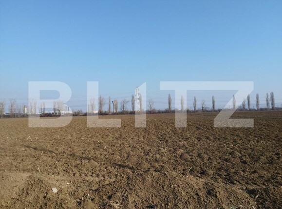 Teren de vânzare Berceni - 148351TV | BLITZ Ploieşti | Poza4