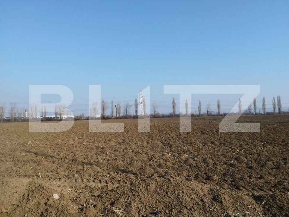 Teren de vânzare Berceni - 148351TV | BLITZ Ploieşti | Poza4