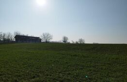 Teren 12223mp, deschidere 27mp, intravilan, Berceni