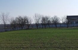 Teren 12223mp, deschidere 27mp, intravilan, Berceni