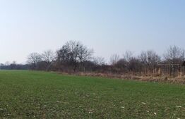Teren 12223mp, deschidere 27mp, intravilan, Berceni