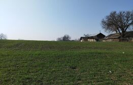 Teren 12223mp, deschidere 27mp, intravilan, Berceni