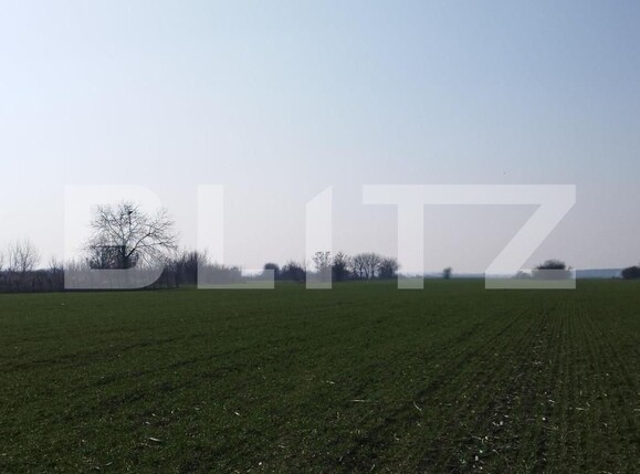 Teren de vânzare Exterior Est - 148353TV | BLITZ Ploieşti | Poza1